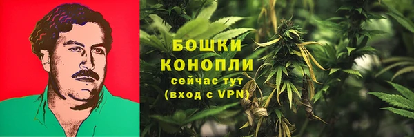 дживик Переславль-Залесский