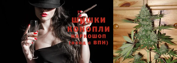 дживик Переславль-Залесский