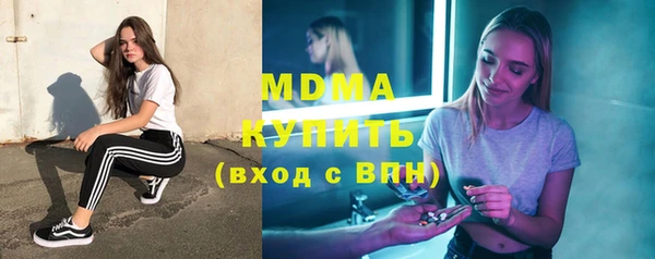 индика Пестово