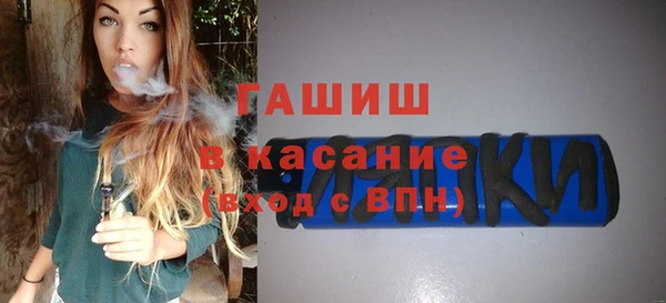 индика Пестово