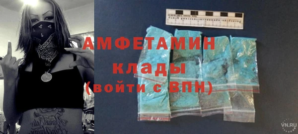 индика Пестово