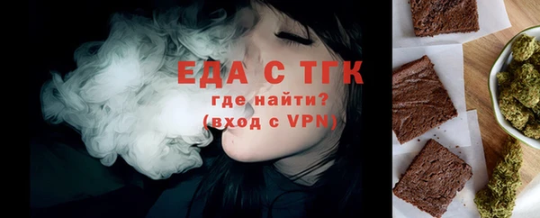 индика Пестово