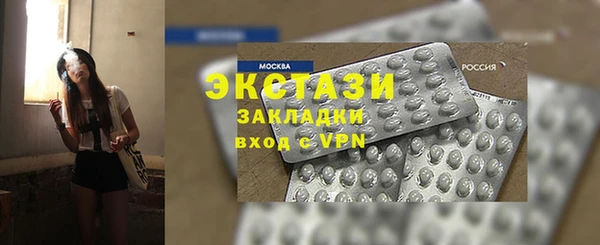 индика Пестово