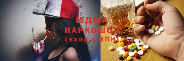 индика Пестово