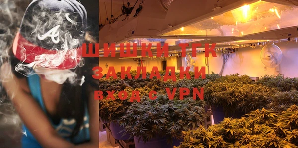 индика Пестово