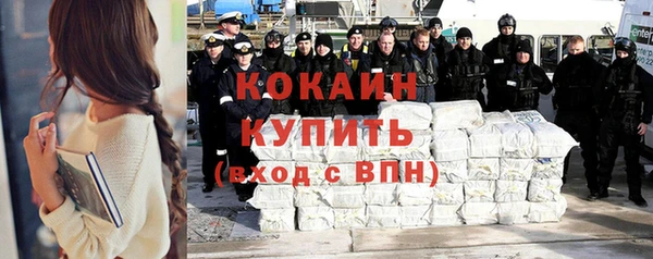 индика Пестово