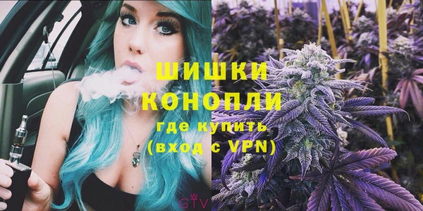 индика Пестово